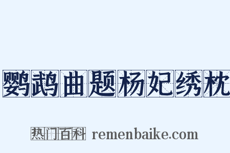 鹦鹉曲题杨妃绣枕是什么意思的图片